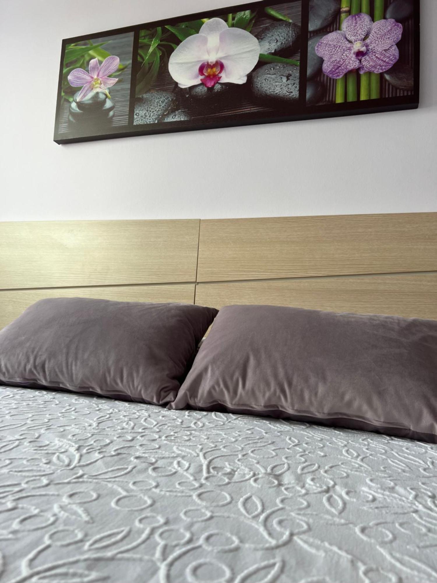 Marusia Apartamento Malpica Ngoại thất bức ảnh